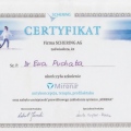 Powiększ obraz: certificate 7