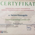 Powiększ obraz: certificate 7
