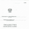 Powiększ obraz: certificate 10