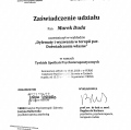 Powiększ obraz: certificate 4
