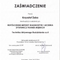 Powiększ obraz: certificate 9