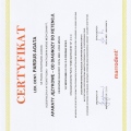 Powiększ obraz: certificate 9
