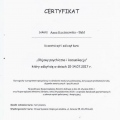 Powiększ obraz: certificate 7