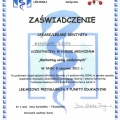 Powiększ obraz: certificate 27