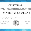 Powiększ obraz: certificate 11