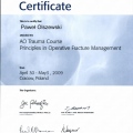 Powiększ obraz: certificate 29