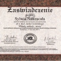 Powiększ obraz: certificate 3