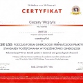 Powiększ obraz: certificate 20