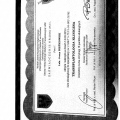 Powiększ obraz: certificate 6