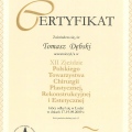 Powiększ obraz: certificate 13