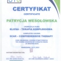 Powiększ obraz: certificate 3