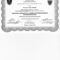 Powiększ obraz: certificate 44