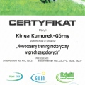 Powiększ obraz: certificate 23