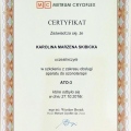 Powiększ obraz: certificate 9