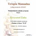 Powiększ obraz: certificate 29