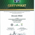 Powiększ obraz: certificate 3