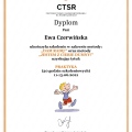 Powiększ obraz: certificate 1