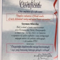 Powiększ obraz: certificate 2