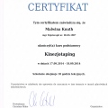 Powiększ obraz: certificate 8
