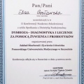 Powiększ obraz: certificate 7