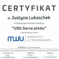 Powiększ obraz: certificate 9