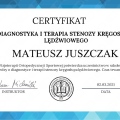 Powiększ obraz: certificate 8