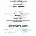 Powiększ obraz: certificate 13