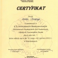 Powiększ obraz: certificate 1