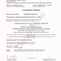Powiększ obraz: certificate 11