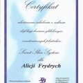 Powiększ obraz: certificate 33