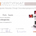 Powiększ obraz: certificate 7