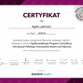 Powiększ obraz: certificate 20