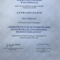 Powiększ obraz: certificate 6