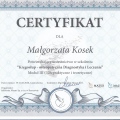 Powiększ obraz: certificate 2