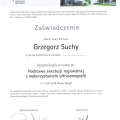 Powiększ obraz: certificate 9