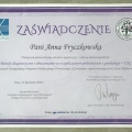 Powiększ obraz: certificate 8