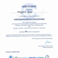 Powiększ obraz: certificate 11