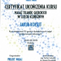 Powiększ obraz: certificate 16