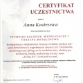 Powiększ obraz: certificate 12