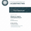 Powiększ obraz: certificate 13
