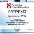 Powiększ obraz: certificate 11