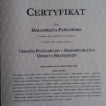 Powiększ obraz: certificate 1