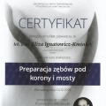 Powiększ obraz: certificate 3