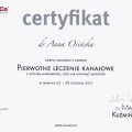 Powiększ obraz: certificate 10
