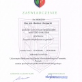 Powiększ obraz: certificate 9