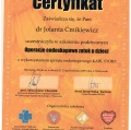Powiększ obraz: certificate 1