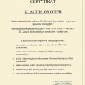 Powiększ obraz: certificate 2
