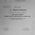 Powiększ obraz: certificate 9