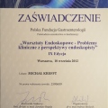 Powiększ obraz: certificate 8