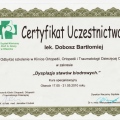 Powiększ obraz: certificate 15
